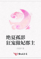 絕夏孤影  狂寵傲妃郡主在線閱讀