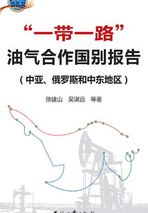 “一帶一路”油氣合作國別報告：中亞、俄羅斯和中東地區