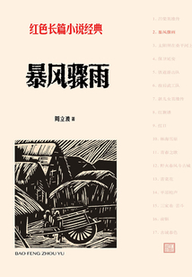 暴風驟雨