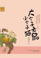 大个子老鼠小个子猫27（注音版）在线阅读