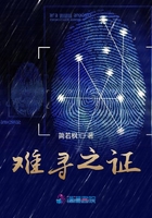 難尋之證在線閱讀