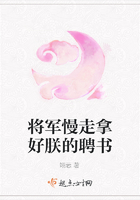 將軍慢走拿好朕的聘書在線閱讀
