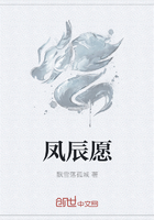 凤辰愿在线阅读