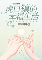 虎口镇的幸福生活在线阅读
