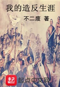 我的造反生涯