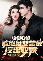我的絕美冰山女總裁在線閱讀