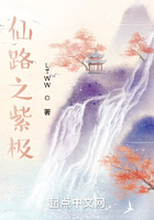 仙路之紫极在线阅读