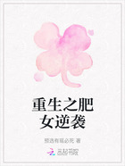 重生之肥女逆袭在线阅读