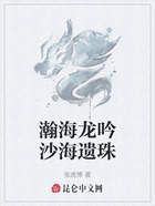 瀚海龙吟沙海遗珠在线阅读