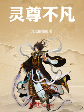 灵尊不凡在线阅读