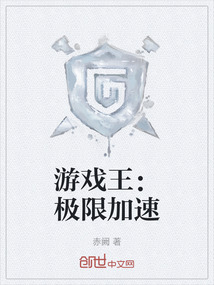 游戲王：極限加速