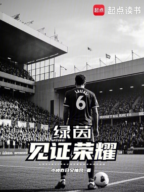 绿茵见证荣耀在线阅读
