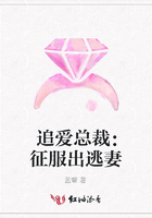 追愛(ài)總裁：征服出逃妻在線閱讀