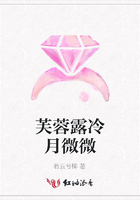 芙蓉露冷月微微在線閱讀