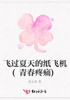 飛過夏天的紙飛機(青春疼痛)在線閱讀