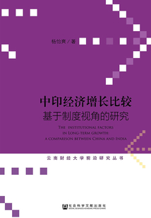 中印經濟增長比較：基于制度視角的研究