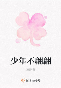 少年不翩翩