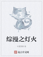 綜漫之燈火在線閱讀