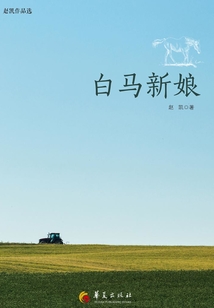 白馬新娘：趙凱作品選