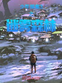少年探案3之迷霧森林