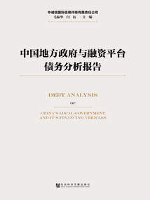 中國地方政府與融資平臺債務分析報告