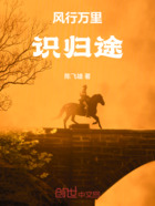 风行万里识归途在线阅读