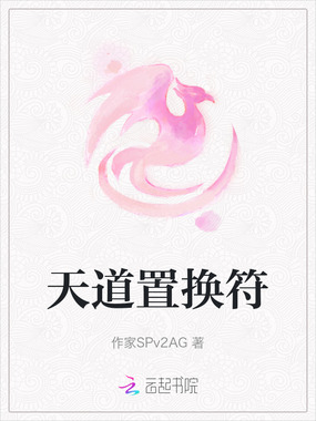 天道置换符在线阅读