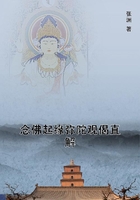念佛起緣彌陀觀偈直解在線閱讀