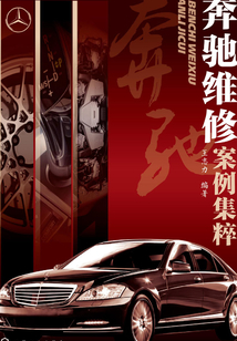 奔馳維修案例集粹