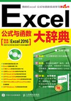 Excel公式与函数大辞典