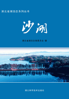 沙湖：湖北省湖泊志系列丛书