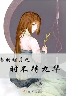 秦時(shí)明月之時(shí)不待九華
