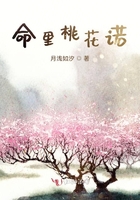 命里桃花诺在线阅读