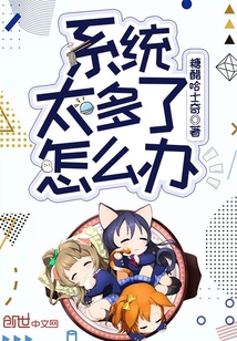 系統(tǒng)太多了怎么辦
