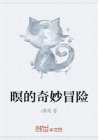 暝的奇妙冒险在线阅读