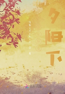 遇見就在夕陽下