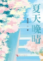 夏天晚晴在線閱讀