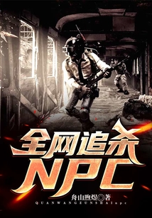 全網追殺NPC