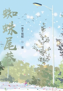 蜘蛛尾巷