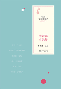 中國文學佳作選：中短篇小說卷