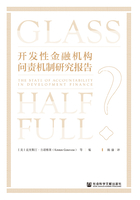 開(kāi)發(fā)性金融機(jī)構(gòu)問(wèn)責(zé)機(jī)制研究報(bào)告在線閱讀