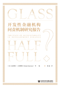 開發(fā)性金融機構問責機制研究報告