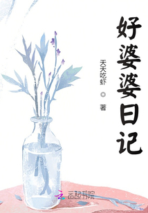 好婆婆日記