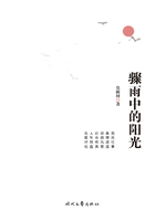 驟雨中的陽光在線閱讀