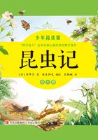 昆虫记：少年简读版（全4册）