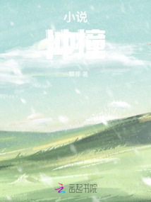 小說沖撞