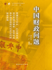 中國財政問題