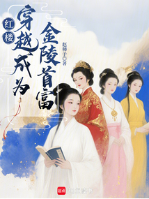 紅樓：穿越成為金陵首富