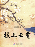 枝上云霄在线阅读
