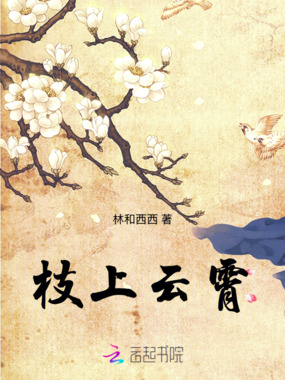枝上云霄在线阅读